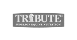 Tribute Equine Nutrition