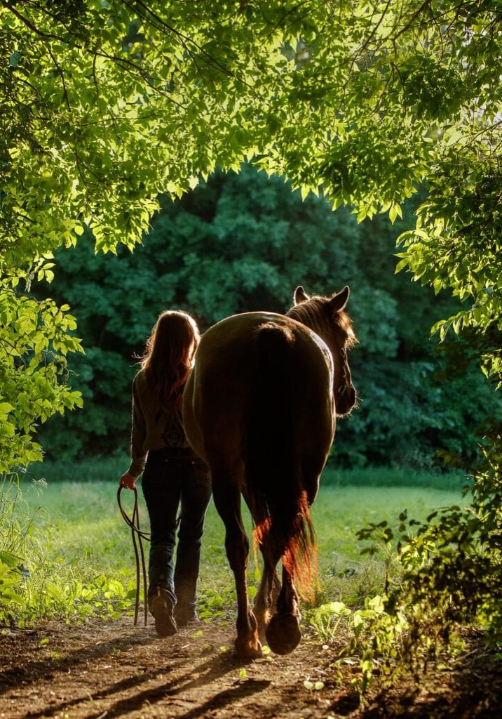 Horses & Humans, Western Horses & Humans, Western