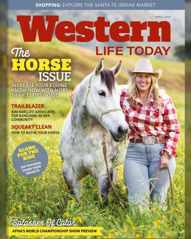 Recent cover images for @WesternLifeToday, @EquiManagement, and @aaephorsedocs, licensed from my Equine Stock Library! 🎉

I especially love seeing my dear friend @caliiforniadreamin on Western Life Today! 🥰