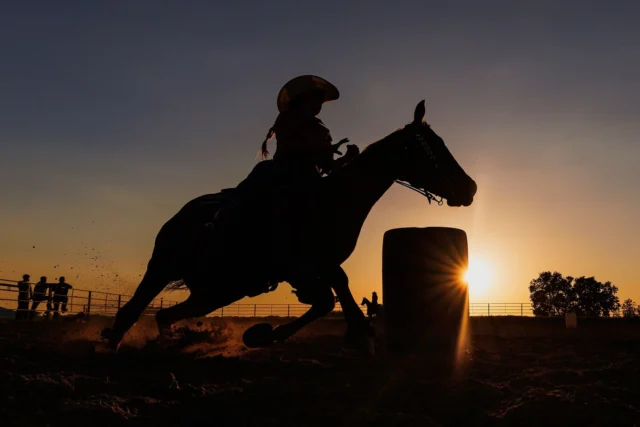 It's #silhouettesaturday, and I've been counting down the days because I'm dying to share this photo! 😁😁😁

One of the things I like most about creating silhouettes is how they allow me to tell a story with simple shapes. Lately, I’ve been exploring ways to add more depth to those stories, like this image from barrel racing practice last week at @highfield_farm_mn, where I was able to layer motion, emotion, secondary subjects, and just the right timing. 

To get this shot, I used a super-wide lens at 17mm, set my aperture to f/7.1, and placed my camera right on the ground, pre-focusing on the barrel. Then I fired away as @nicole.raser and her horse Ralph flew past! By some miracle, the sun lined up exactly with the edge of the barrel, and when I saw how the elements all came together afterward, I couldn’t stop smiling. 😁