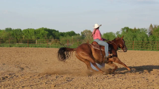 I recently upgraded to the @canonusa R5 Mark II and discovered that it shoots super slow motion at 240fps. Naturally, I had to try it out at last week’s barrel racing practice at @highfield_farm_mn!

I asked my friend @nicole.raser to do a fast run for me, and she and her horse, Ralph, nailed that first barrel turn! One of the biggest reasons I chose this camera was for its improved video capabilities, and it did not disappoint. 

The autofocus tracked like a dream, and the slow motion really shows just how powerful and athletic these horses are. It’s incredible to watch every detail of their movement unfold in real time!