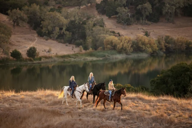 New work for Farnam Horse featuring The Castellows, shot last November in beautiful Santa Barbara, CA! Farnam has rebranded from the ground up: logo, packaging, and messaging. These photos and the uber-talented country trio, The Castellows, are helping get the word out!

Agency: @flytevu
Venue: @alisalranch
Motion Director: @sjlsynergy
DP: @jonmarzolla
Producer: @janna_cabello